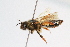  ( - CR-33325-21)  @11 [ ] CreativeCommons  Attribution Non-Commercial Share-Alike (2019) Claus Rasmussen Aarhus University, Denmark