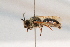 ( - CR-33325-24)  @11 [ ] CreativeCommons  Attribution Non-Commercial Share-Alike (2019) Claus Rasmussen Aarhus University, Denmark