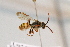  ( - CR-33325-42)  @12 [ ] CreativeCommons  Attribution Non-Commercial Share-Alike (2019) Claus Rasmussen Aarhus University, Denmark