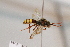  ( - CR-33325-43)  @12 [ ] CreativeCommons  Attribution Non-Commercial Share-Alike (2019) Claus Rasmussen Aarhus University, Denmark