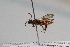  ( - CR-33325-68)  @12 [ ] CreativeCommons  Attribution Non-Commercial Share-Alike (2019) Claus Rasmussen Aarhus University, Denmark