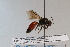  ( - CR-33325-94)  @12 [ ] CreativeCommons  Attribution Non-Commercial Share-Alike (2019) Claus Rasmussen Aarhus University, Denmark