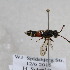  ( - CR-33329-47)  @11 [ ] CreativeCommons  Attribution Non-Commercial Share-Alike (2019) Claus Rasmussen Aarhus University, Denmark