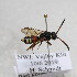  ( - CR-33329-48)  @11 [ ] CreativeCommons  Attribution Non-Commercial Share-Alike (2019) Claus Rasmussen Aarhus University, Denmark