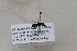  ( - CR-33329-60)  @11 [ ] CreativeCommons  Attribution Non-Commercial Share-Alike (2019) Claus Rasmussen Aarhus University, Denmark