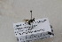  ( - CR-33329-61)  @11 [ ] CreativeCommons  Attribution Non-Commercial Share-Alike (2019) Claus Rasmussen Aarhus University, Denmark