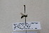  ( - CR-33329-71)  @11 [ ] CreativeCommons  Attribution Non-Commercial Share-Alike (2019) Claus Rasmussen Aarhus University, Denmark
