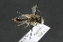  ( - CR-33326-17)  @11 [ ] CreativeCommons  Attribution Non-Commercial Share-Alike (2019) Claus Rasmussen Aarhus University, Denmark
