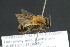  ( - CR-33326-61)  @11 [ ] CreativeCommons  Attribution Non-Commercial Share-Alike (2019) Claus Rasmussen Aarhus University, Denmark