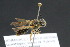  ( - CR-33326-70)  @11 [ ] CreativeCommons  Attribution Non-Commercial Share-Alike (2019) Claus Rasmussen Aarhus University, Denmark