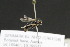  ( - CR-33326-95)  @11 [ ] CreativeCommons  Attribution Non-Commercial Share-Alike (2019) Claus Rasmussen Aarhus University, Denmark