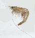  ( - VCR_8)  @11 [ ] Unspecified (default): All Rights Reserved  Unspecified Unspecified