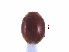  ( - SPM6-1)  @11 [ ] CreativeCommons - Attribution Share-Alike (2019) Unspecified South China Agricultural University, Department of Entomology