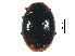  ( - SNS7)  @11 [ ] CreativeCommons - Attribution Share-Alike (2019) Unspecified South China Agricultural University, Department of Entomology
