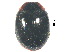 ( - SSK6)  @11 [ ] CreativeCommons - Attribution Share-Alike (2019) Unspecified South China Agricultural University, Department of Entomology