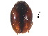  ( - SNS4)  @11 [ ] CreativeCommons - Attribution Share-Alike (2019) Unspecified South China Agricultural University, Department of Entomology