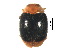  ( - SPM10)  @11 [ ] CreativeCommons - Attribution Share-Alike (2019) Unspecified South China Agricultural University, Department of Entomology