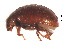  ( - SPM14)  @11 [ ] CreativeCommons - Attribution Share-Alike (2019) Unspecified South China Agricultural University, Department of Entomology