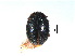  ( - SSK15)  @11 [ ] CreativeCommons - Attribution Share-Alike (2019) Unspecified South China Agricultural University, Department of Entomology