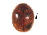  ( - SPM13)  @11 [ ] CreativeCommons - Attribution Share-Alike (2019) Unspecified South China Agricultural University, Department of Entomology