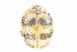  ( - HCW7)  @11 [ ] CreativeCommons - Attribution Share-Alike (2019) Unspecified South China Agricultural University, Department of Entomology