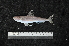  ( - EEZ441)  @11 [ ] CreativeCommons - Attribution Non-Commercial Share-Alike (2023) Unspecified Universiti Malaysia Terengganu