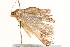  ( - BIOUG21295-E01)  @13 [ ] CreativeCommons - Attribution (2015) CBG Photography Group Centre for Biodiversity Genomics
