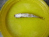  ( - PVF7)  @12 [ ] CreativeCommons - Attribution Non-Commercial Share-Alike (2013) Kalpana Subedi Tribhuwan University