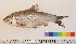  ( - NF115)  @12 [ ] Unspecified (default): All Rights Reserved  Unspecified Unspecified