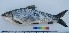  ( - NF252)  @13 [ ] Unspecified (default): All Rights Reserved  Unspecified Unspecified