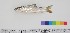  ( - NF36)  @14 [ ] Unspecified (default): All Rights Reserved  Unspecified Unspecified
