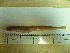  ( - Okh_43)  @13 [ ] No Rights Reserved (2011) Unspecified Institute of Marine Biology, Vladivostok