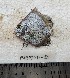  ( - F2309SD-80)  @11 [ ] Unspecified (default): All Rights Reserved  Md jayedul Islam and Md Asaduzzaman Jagannath University, Department of Zoology
