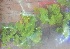  ( - Ziarat 102)  @11 [ ] Unspecified (default): All Rights Reserved (2019) Shazia Irfan BUITEMS