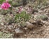 ( - Ziarat 107)  @11 [ ] Unspecified (default): All Rights Reserved (2019) Shazia Irfan BUITEMS