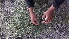  ( - Ziarat 144)  @11 [ ] Unspecified (default): All Rights Reserved (2019) Shazia Irfan BUITEMS