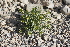  ( - Ziarat 172)  @11 [ ] Unspecified (default): All Rights Reserved (2019) Shazia Irfan BUITEMS