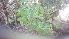  ( - Ziarat 204)  @11 [ ] Unspecified (default): All Rights Reserved (2019) Shazia Irfan BUITEMS
