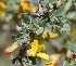  ( - Ziarat 205)  @11 [ ] Unspecified (default): All Rights Reserved (2019) Shazia Irfan BUITEMS