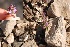  ( - Ziarat 39)  @11 [ ] Unspecified (default): All Rights Reserved (2019) Shazia Irfan BUITEMS