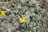  ( - Ziarat 83)  @11 [ ] Unspecified (default): All Rights Reserved (2019) Shazia Irfan BUITEMS