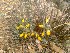  ( - Ziarat 90)  @11 [ ] Unspecified (default): All Rights Reserved (2019) Shazia Irfan BUITEMS
