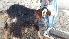  ( - Capra hircus 6)  @11 [ ] Copyright (2019) Bibi Malaela BUITEMS,Quetta
