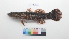  ( - MJL_OXM_002)  @11 [ ] CreativeCommons - Attribution Non-Commercial Share-Alike (2023) Unspecified Universitas Brawijaya, Faculty of Fisheries and Marine Science