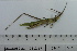  ( - DB12-17)  @11 [ ] c (2022) Unspecified Specimen depository of the Graduate School of Science, Nagoya City University