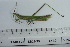  ( - DB12-30)  @11 [ ] c (2022) Unspecified Specimen depository of the Graduate School of Science, Nagoya City University