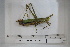  ( - DB12-55)  @11 [ ] c (2022) Unspecified Specimen depository of the Graduate School of Science, Nagoya City University
