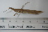  ( - DB12-65)  @11 [ ] c (2022) Unspecified Specimen depository of the Graduate School of Science, Nagoya City University