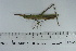  ( - DB12-100)  @11 [ ] c (2022) Unspecified Specimen depository of the Graduate School of Science, Nagoya City University