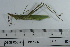  ( - DB23-4)  @11 [ ] c (2022) Unspecified Specimen depository of the Graduate School of Science, Nagoya City University